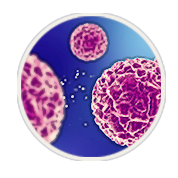 Phase-3-01-SBD-02C-Benefits-01B