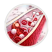 Phase-3-01-SBD-02C-Benefits-02B