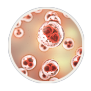 Phase-3-01-SBD-02C-Benefits-03B