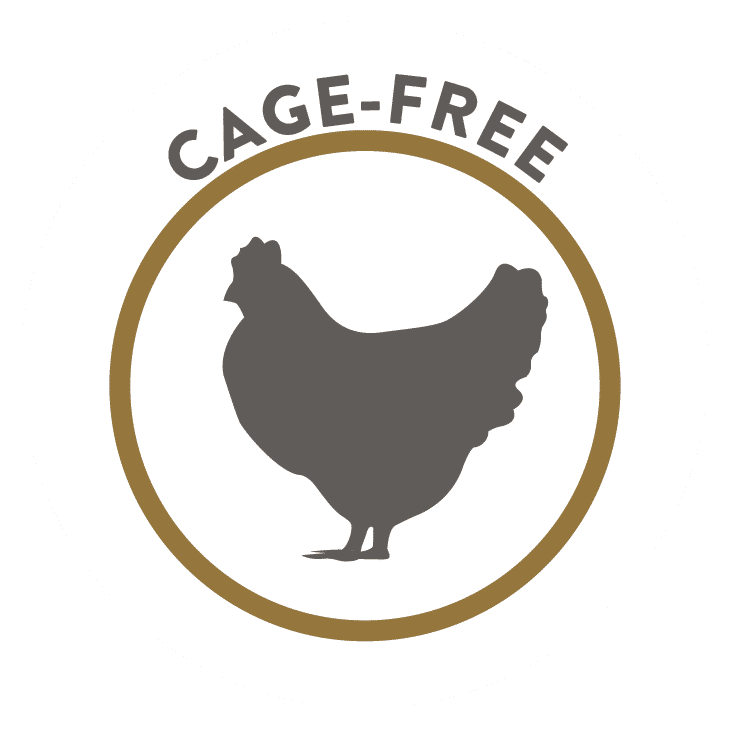 Phase-3-01-MB-Chicken-02A-Icon-01