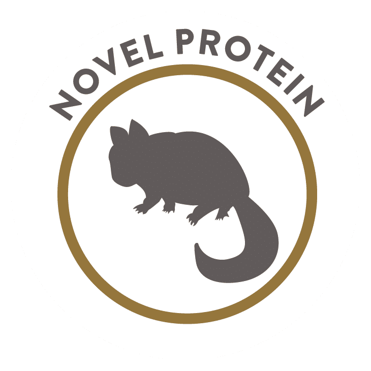 Phase-3-03-MB-Brushtail-02A-Icon-01