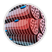 Phase-3-04-VVD-02C-Benefits-03