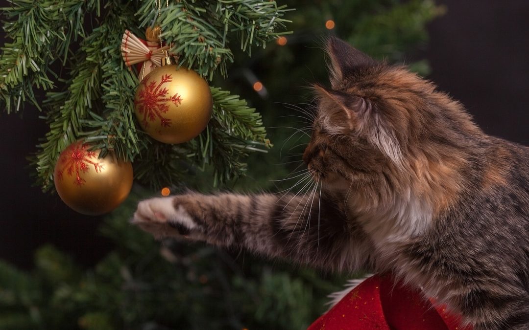 How To Keep Your Cat Off Your Christmas Tree