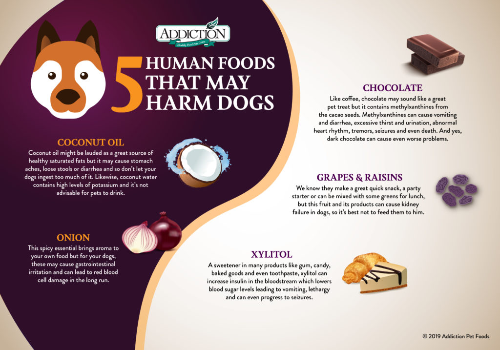 What is the best human food for dogs sale