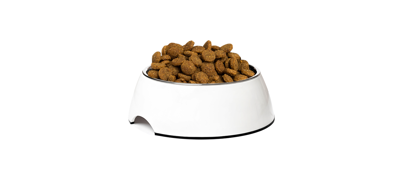 Phase-3-01-SBD-02A-Kibbles
