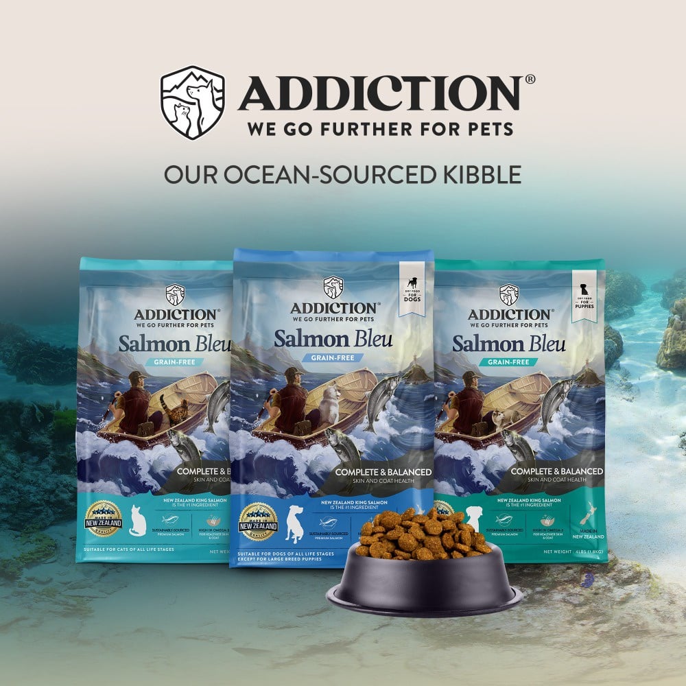 Salmon Bleu Dog | Addiction Pet NZ