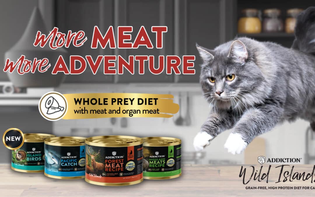 More Meat, More Adventure: A New Way To Satisfy Your Cat’s Innate Cravings