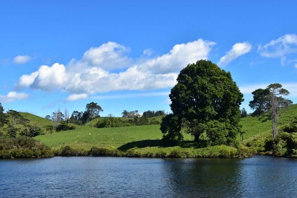 barrett lagoon loop track new plymouth