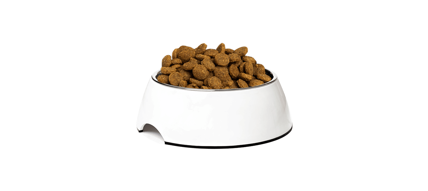 Phase 3 01 SBD 02A Kibbles1
