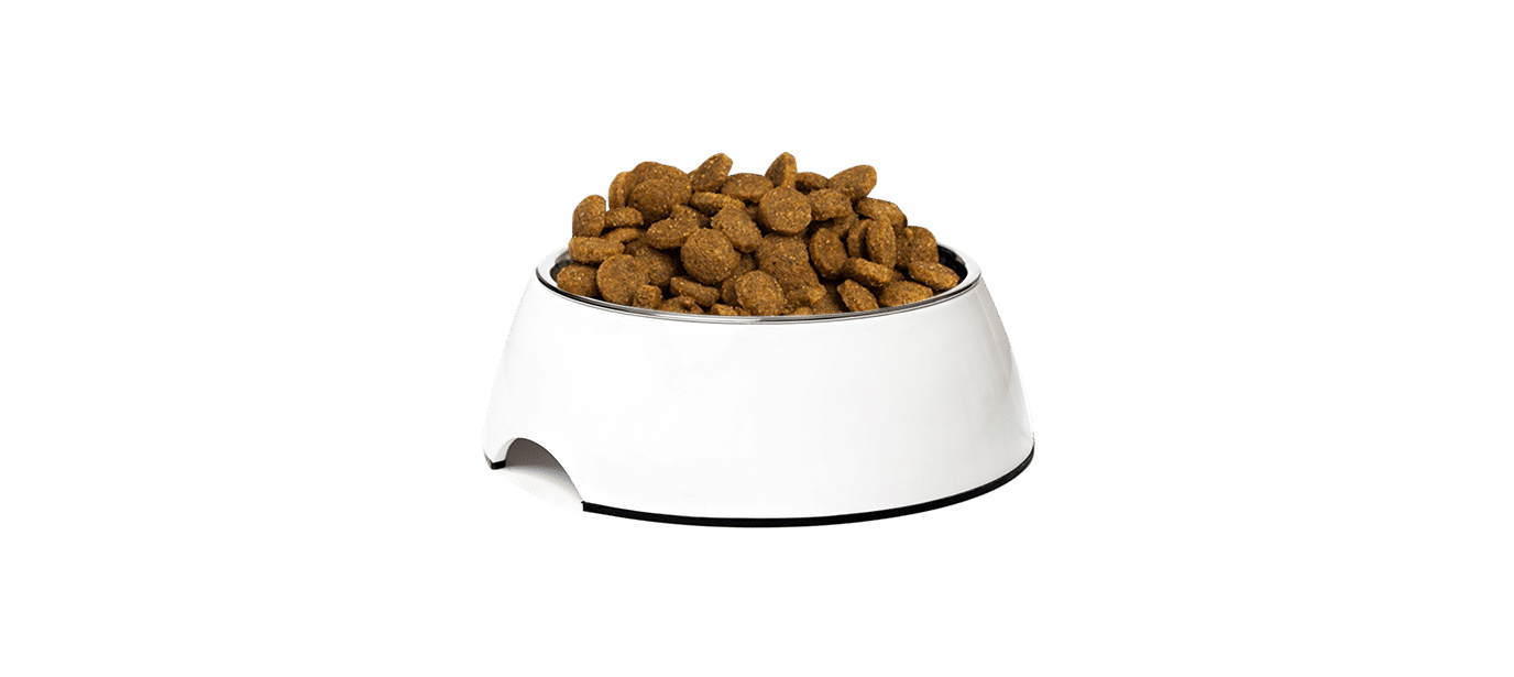 Phase 3 01 SBD 02A Kibbles1