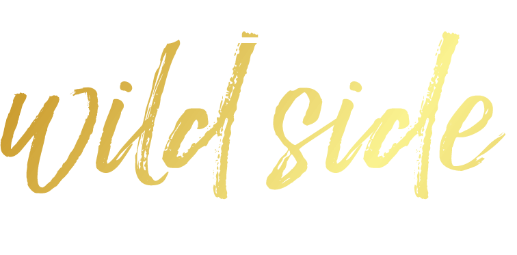 discover the wild side of nz