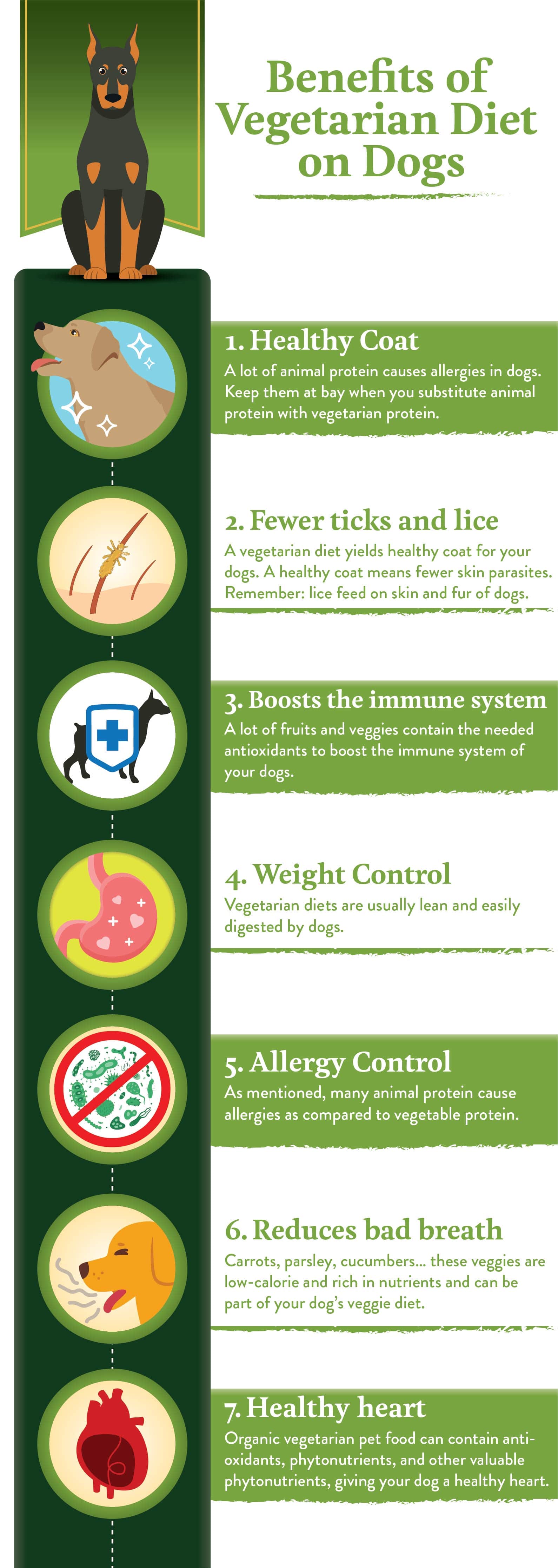 Benefits of a Vegetarian Diet on Dogs | Addiction Pet SG