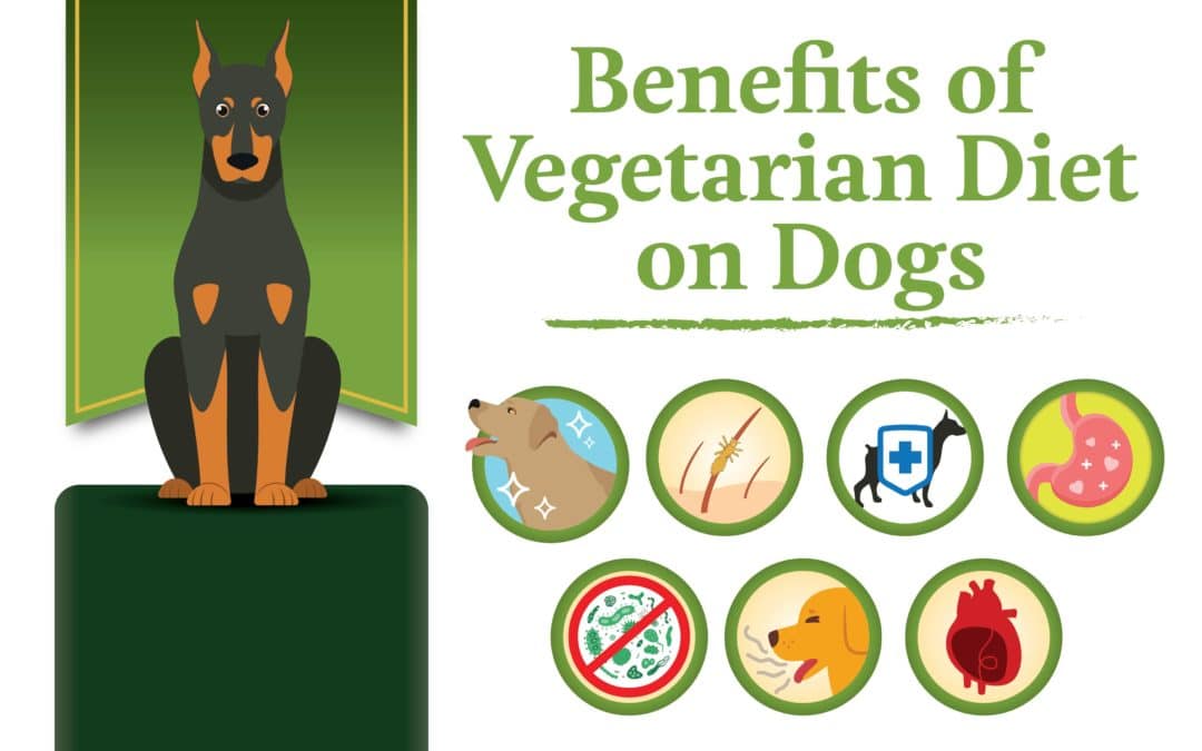 are dogs vegetarian