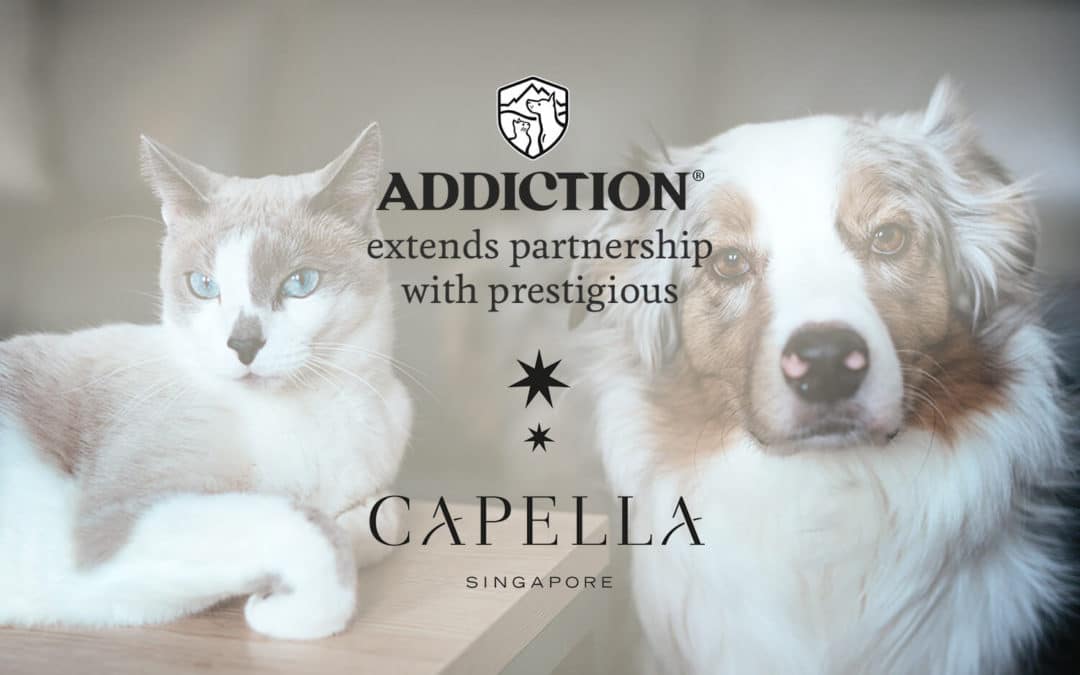 Addiction Pet Foods and Capella Singapore continues partnership to offer pet parents luxurious staycation experience with pets