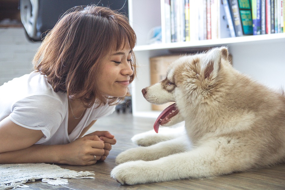 Strengthening Bonds: How To Improve The Love and Trust Between You and Your Pets
