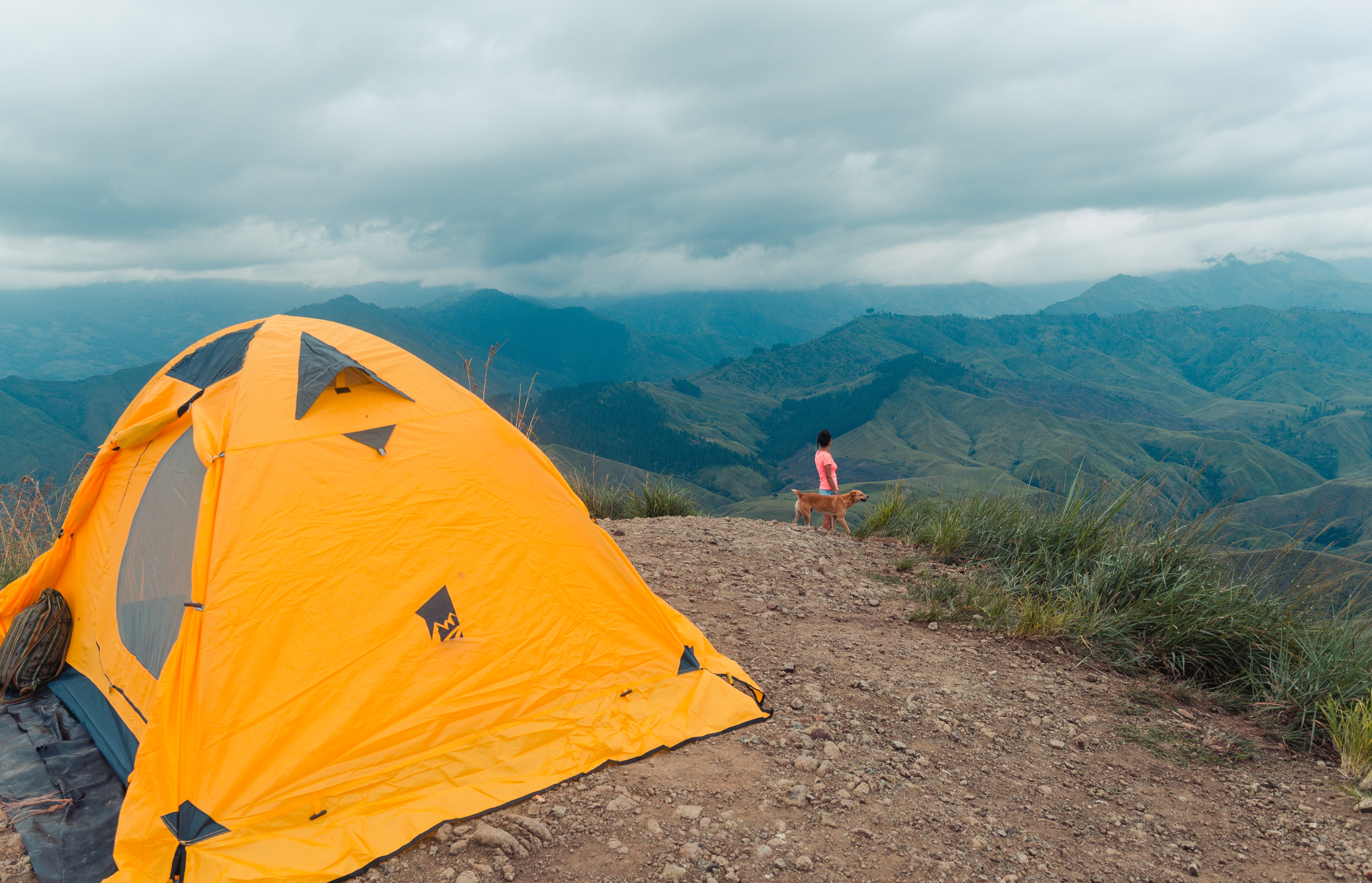 adventure-animal-camp-2496880