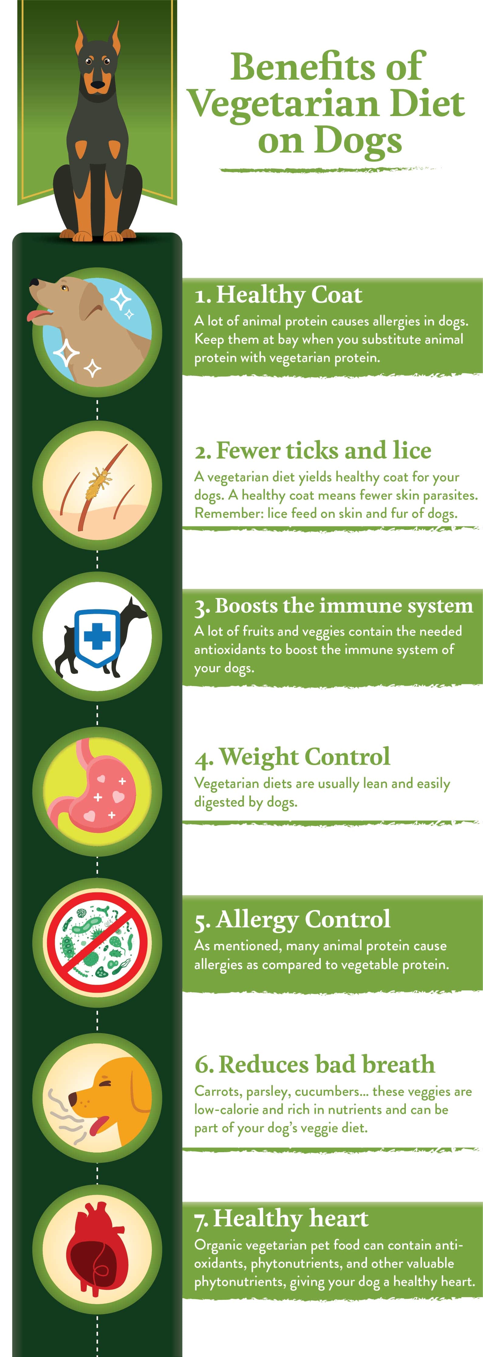 Benefits of a Vegetarian Diet on Dogs infographic