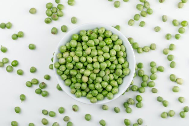 Yes, your dogs can eat peas and here’s why