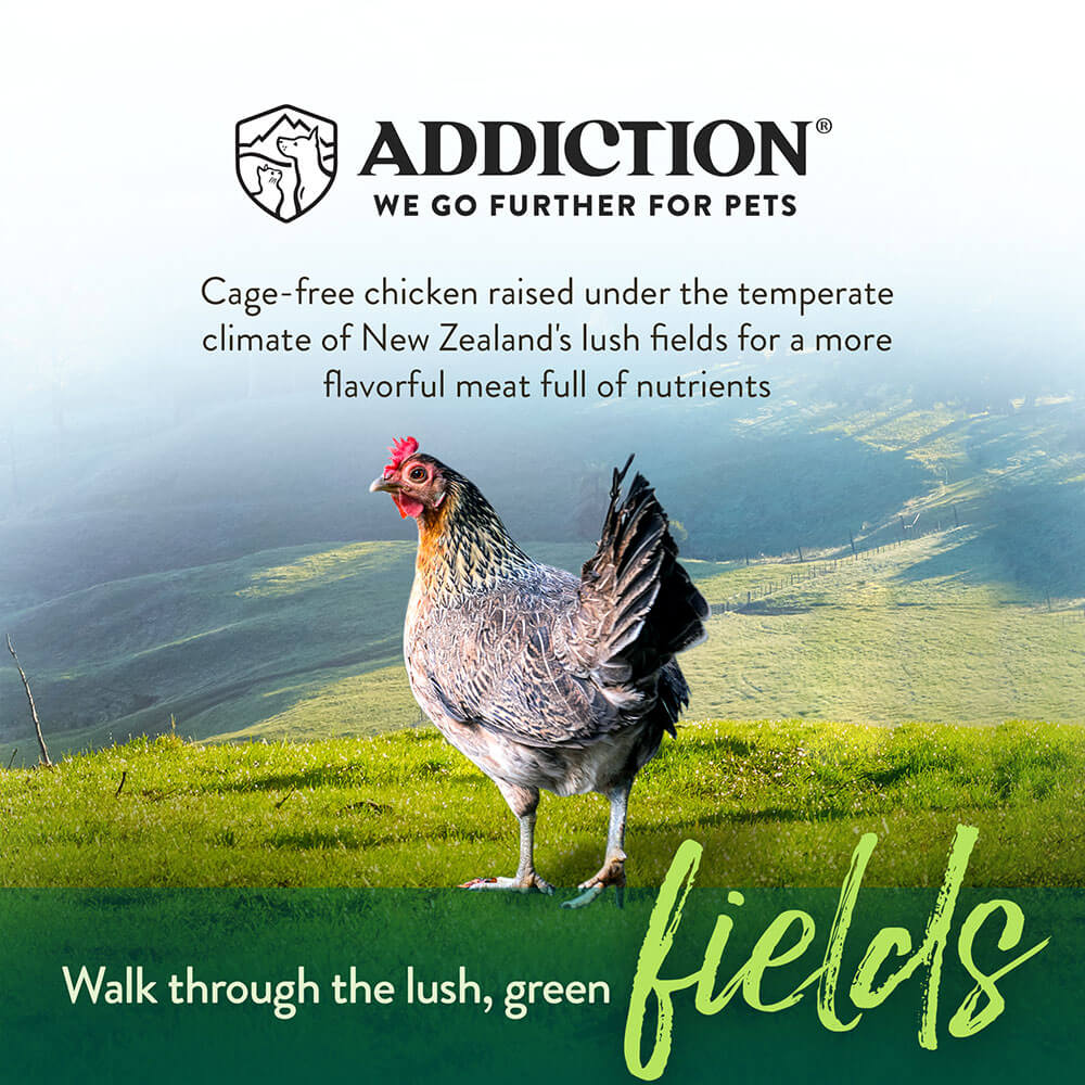 02 source 09 field chicken 01