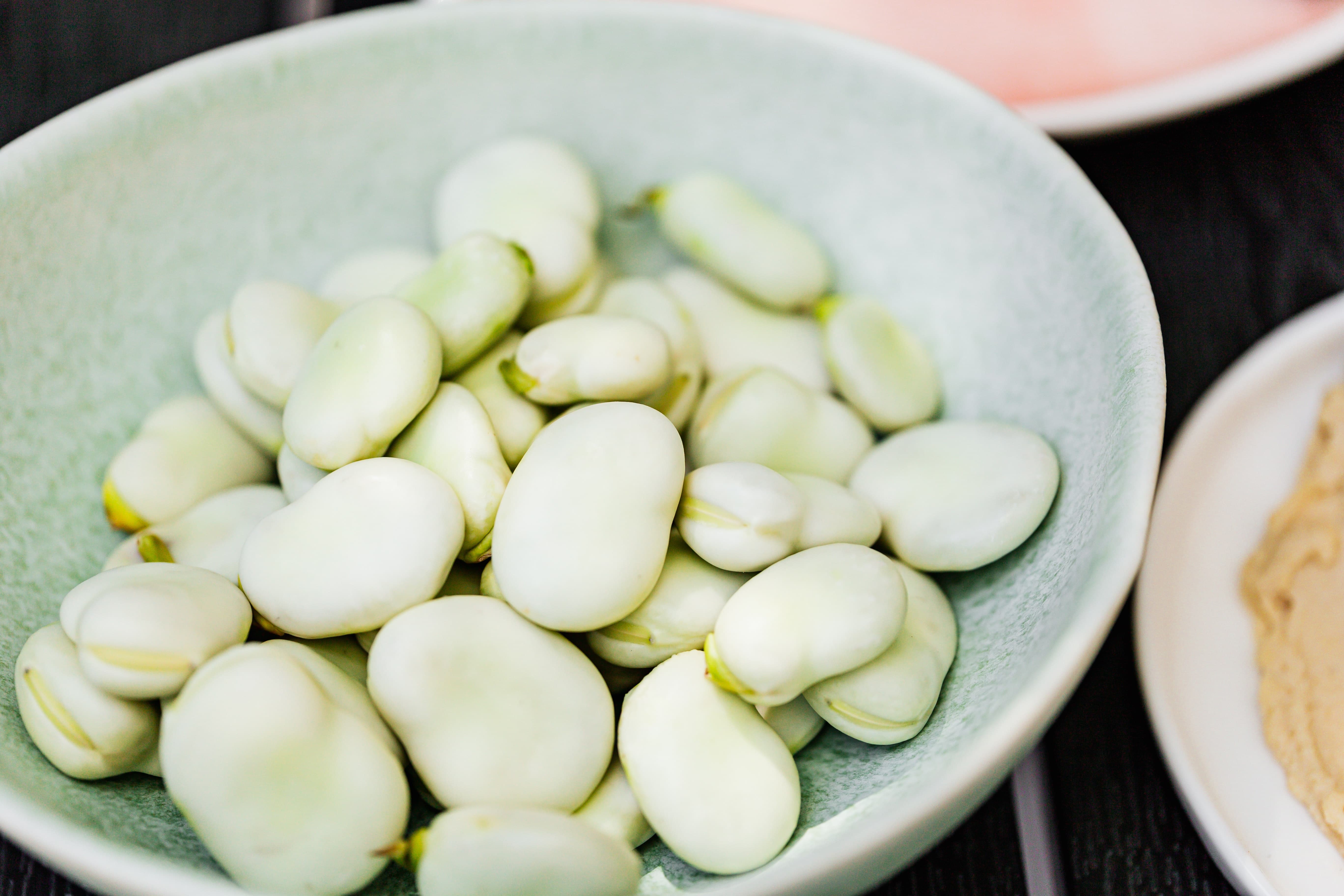 Can dogs eat fava hot sale beans