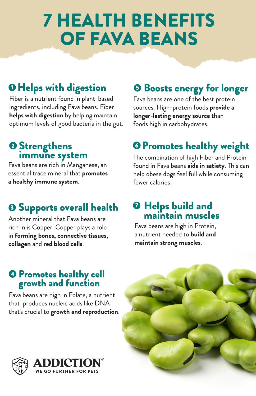 health benefits of fava beans