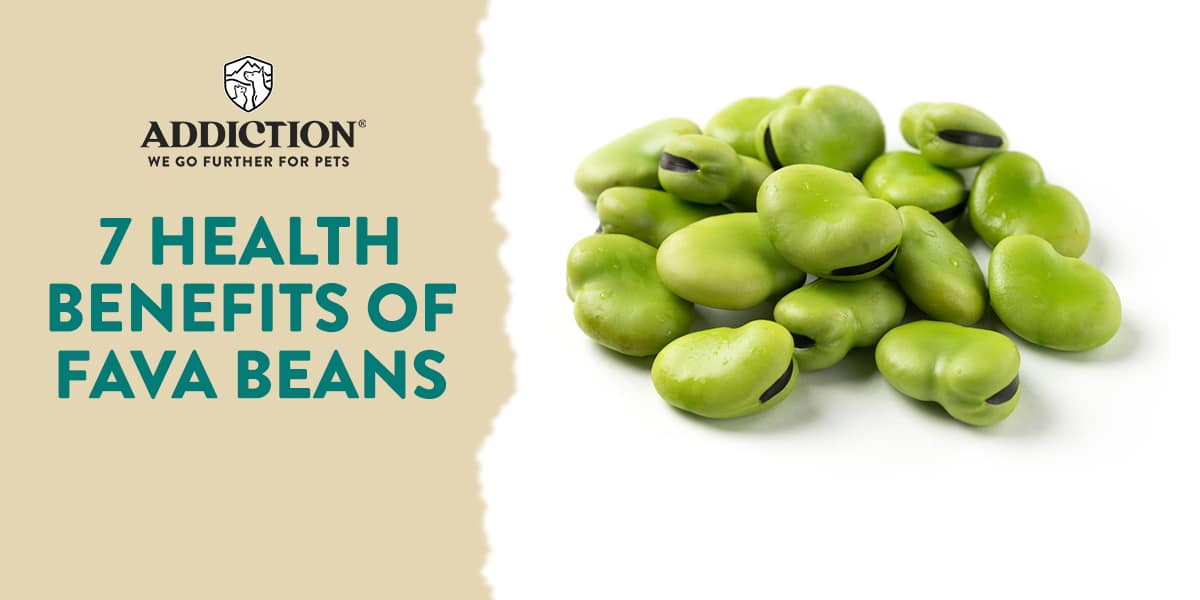 are lima beans safe for dogs