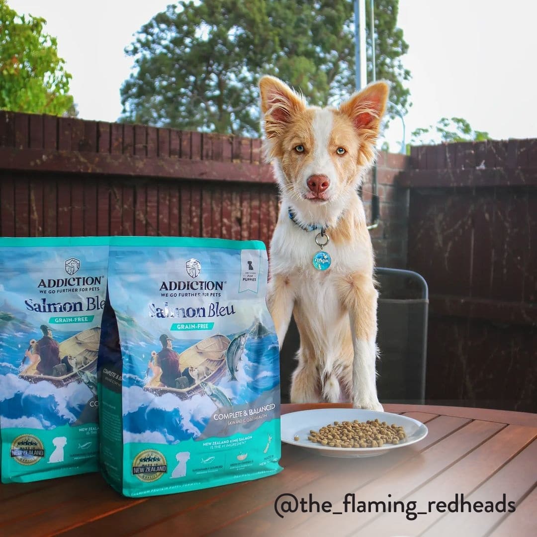ADDICTION Salmon Bleu グレインフリー 1.8kg2袋セット Salmon Bleu