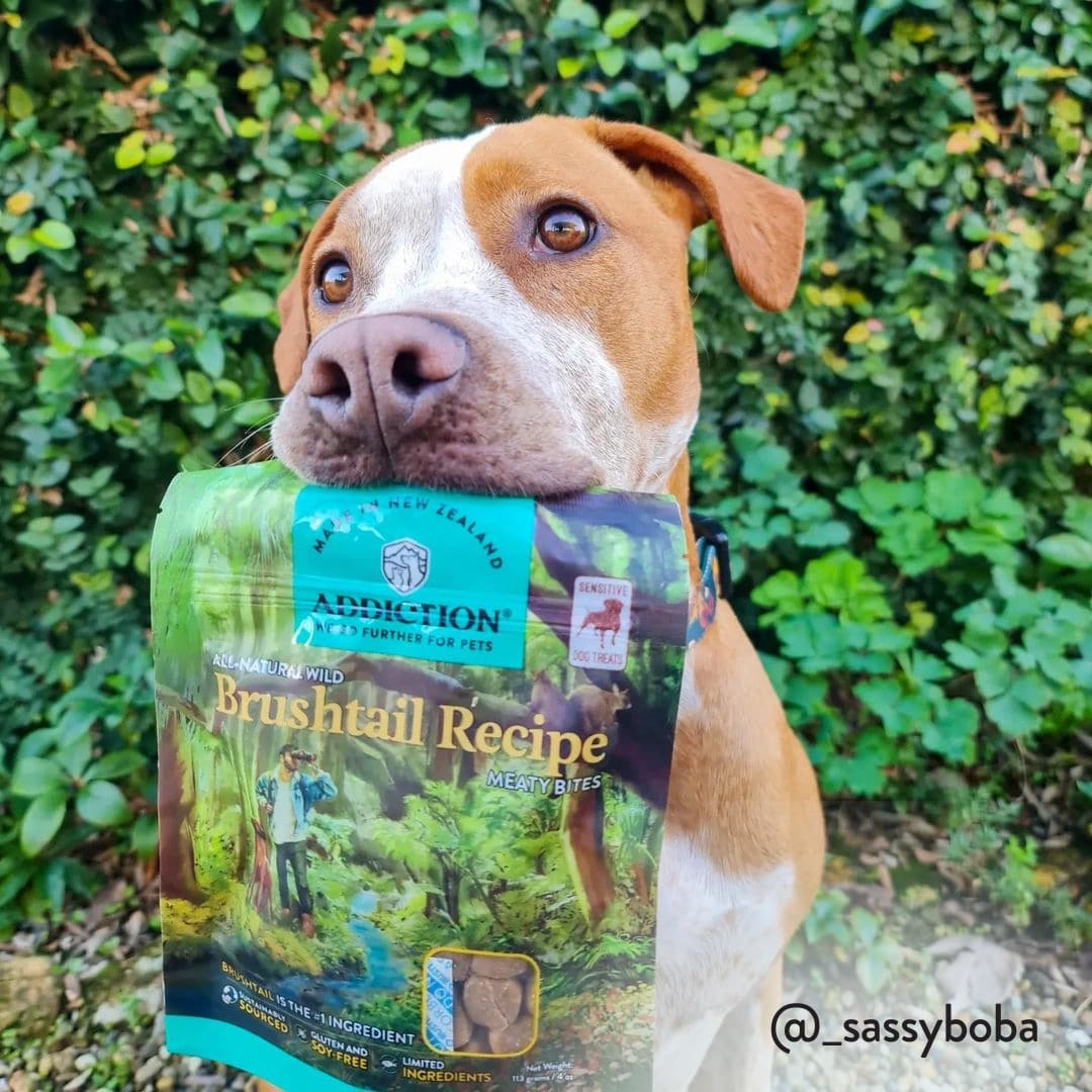 mb brushtail recipe sassy boba