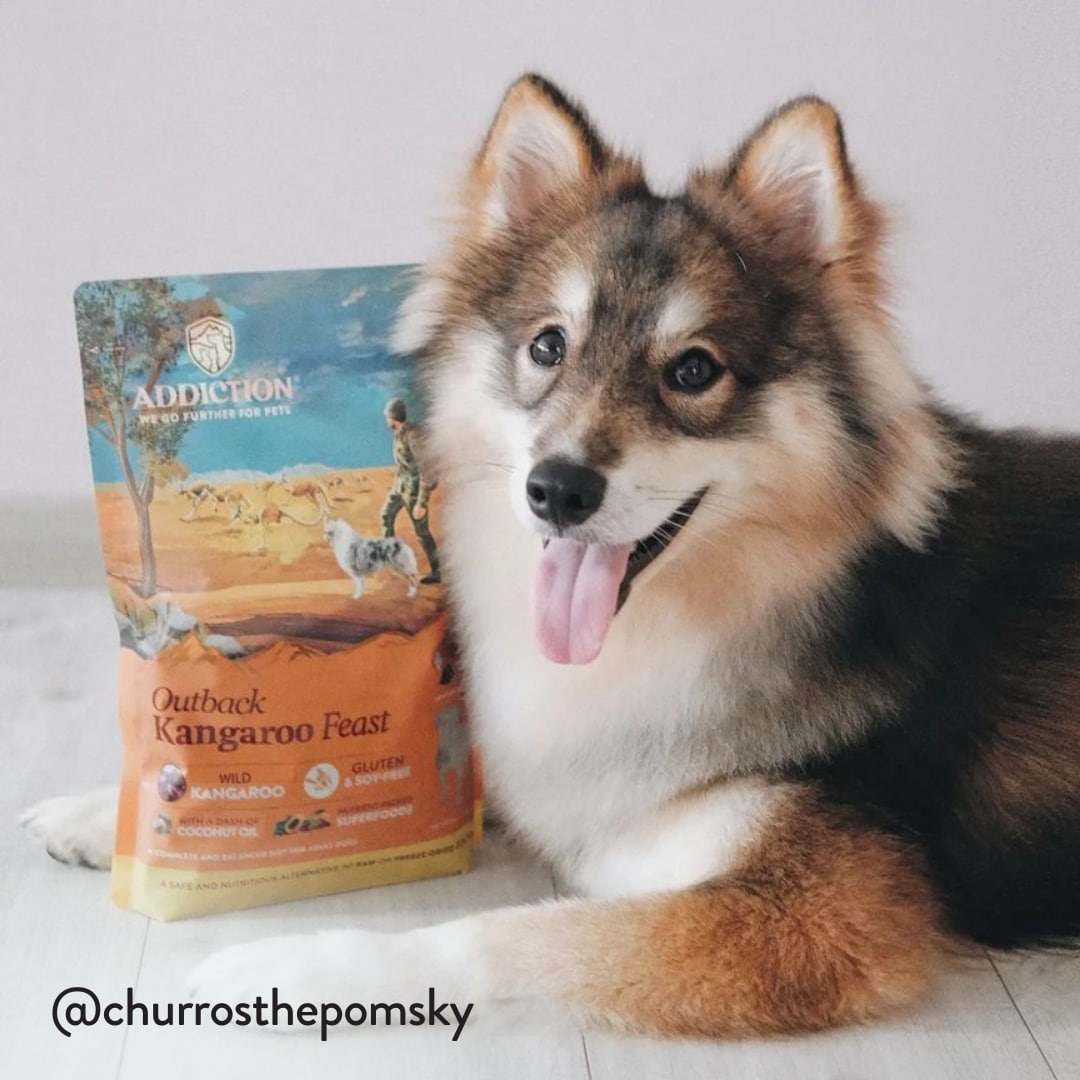 okf churrosthepomsky