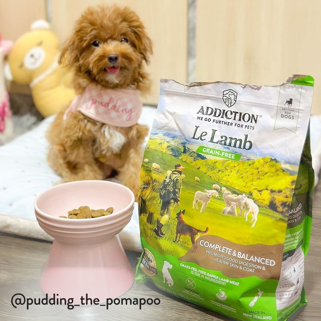 Addiction Le Lamb グレインフリー 15kg Le Lamb (for Small Dogs) | Addiction Pet