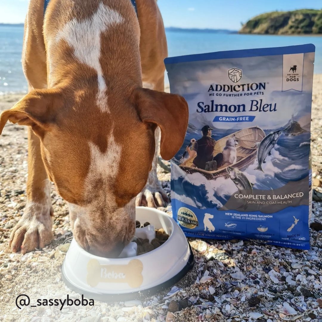 Salmon Bleu Dog Addiction Pet