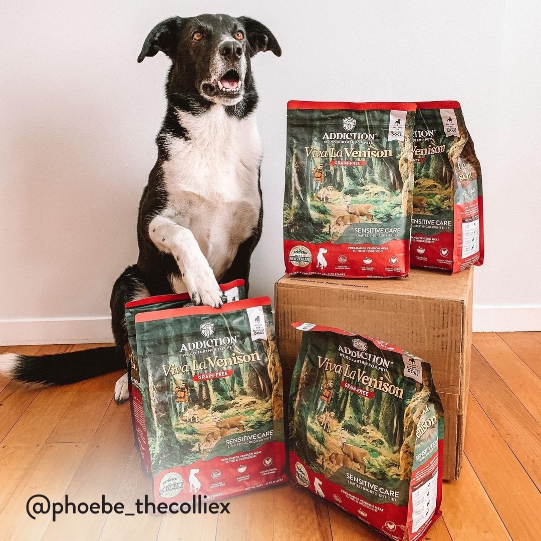 アディクション　Viva La Venison ドッグフード 9kg Viva La Venison | Addiction Pet