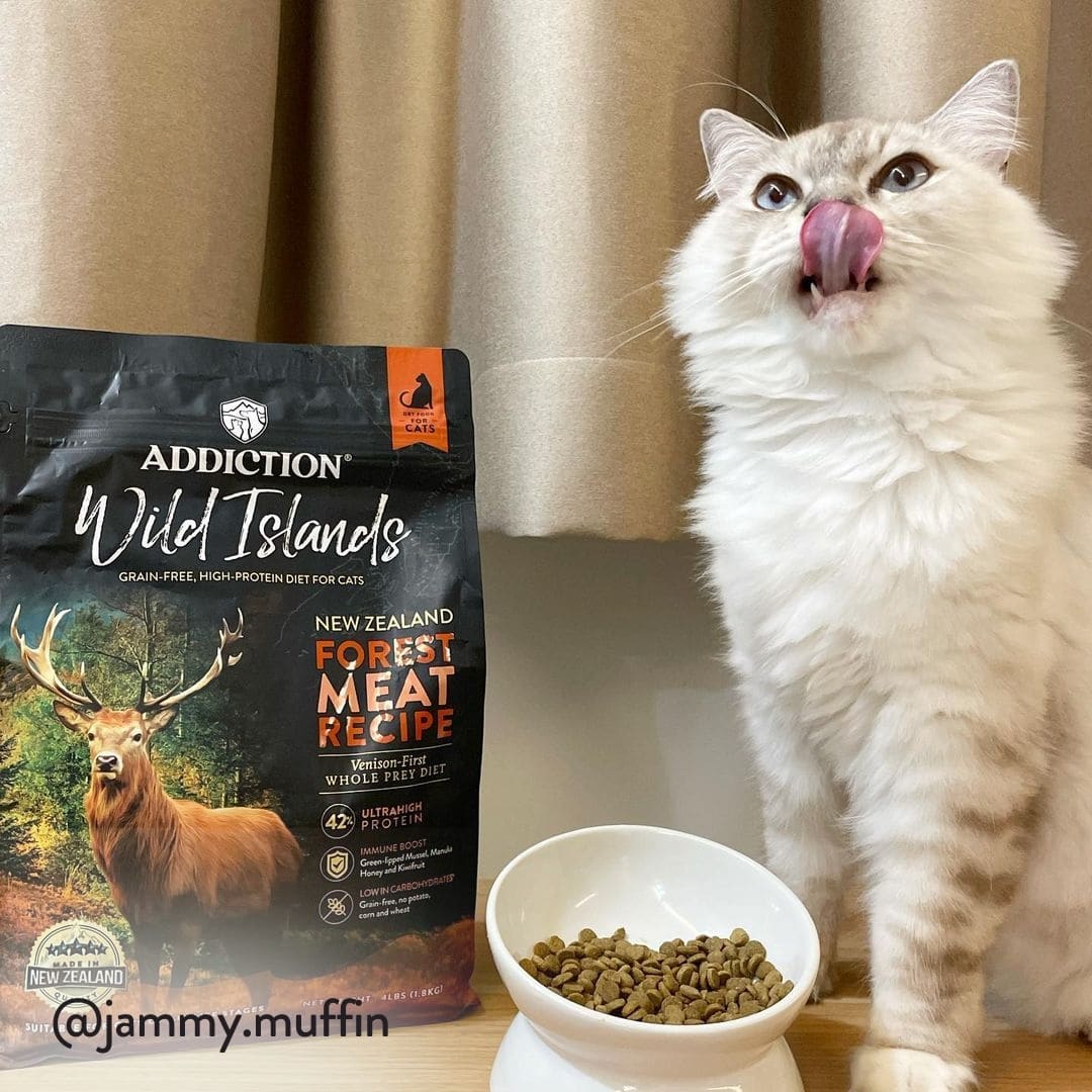 Wild Islands Forest Meat for Cats Addiction Pet