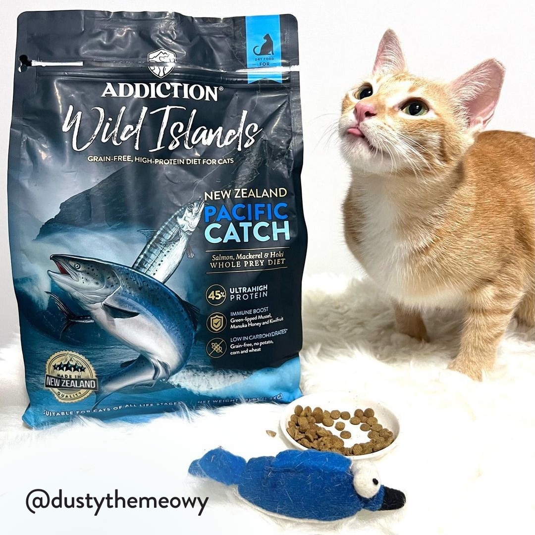 Wild Islands Pacific Catch for Cats