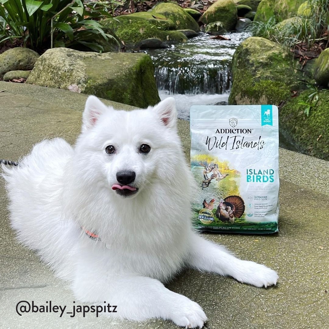 Wild Islands Island Birds for Dogs | Addiction Pet