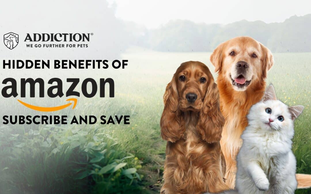 Maximize Savings and Sustainability with Addiction Pet Foods on Amazon: Hidden Benefits of Subscribe and Save