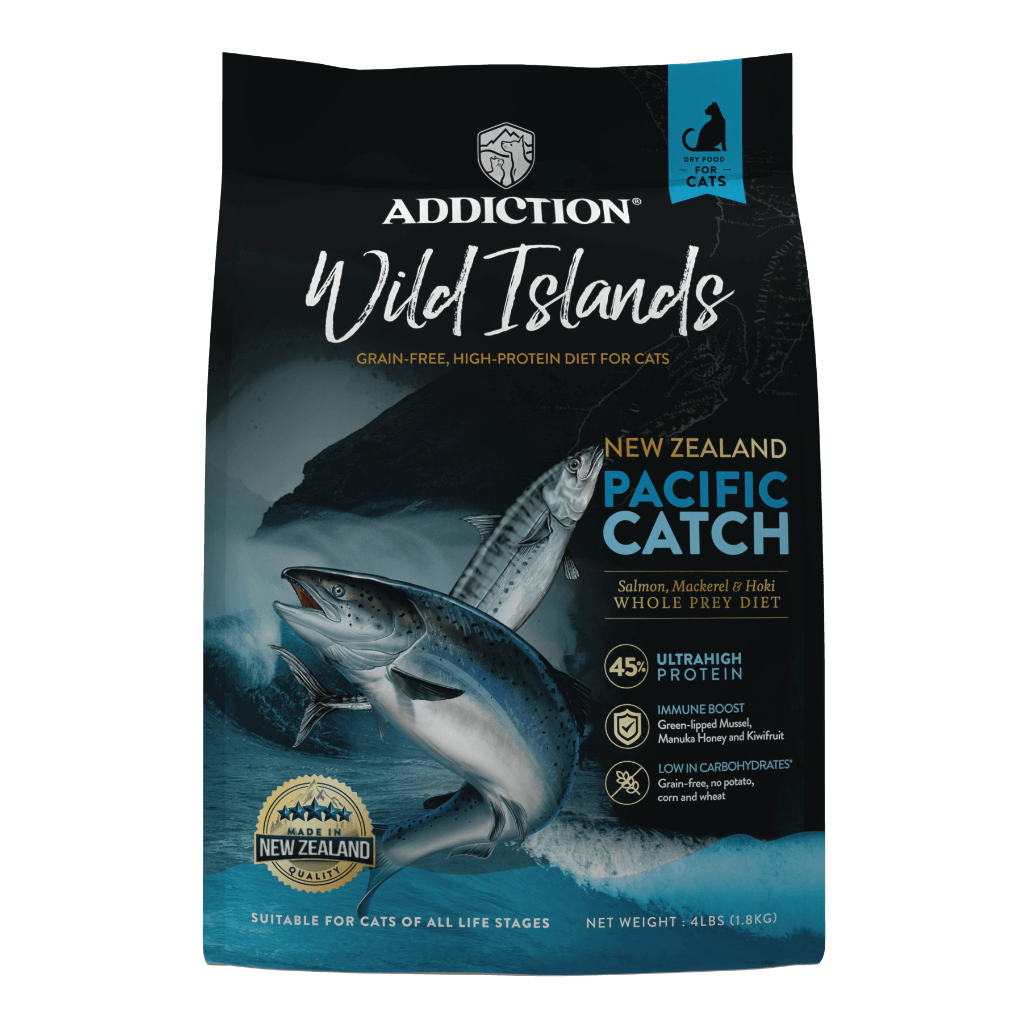 pacific catch cat