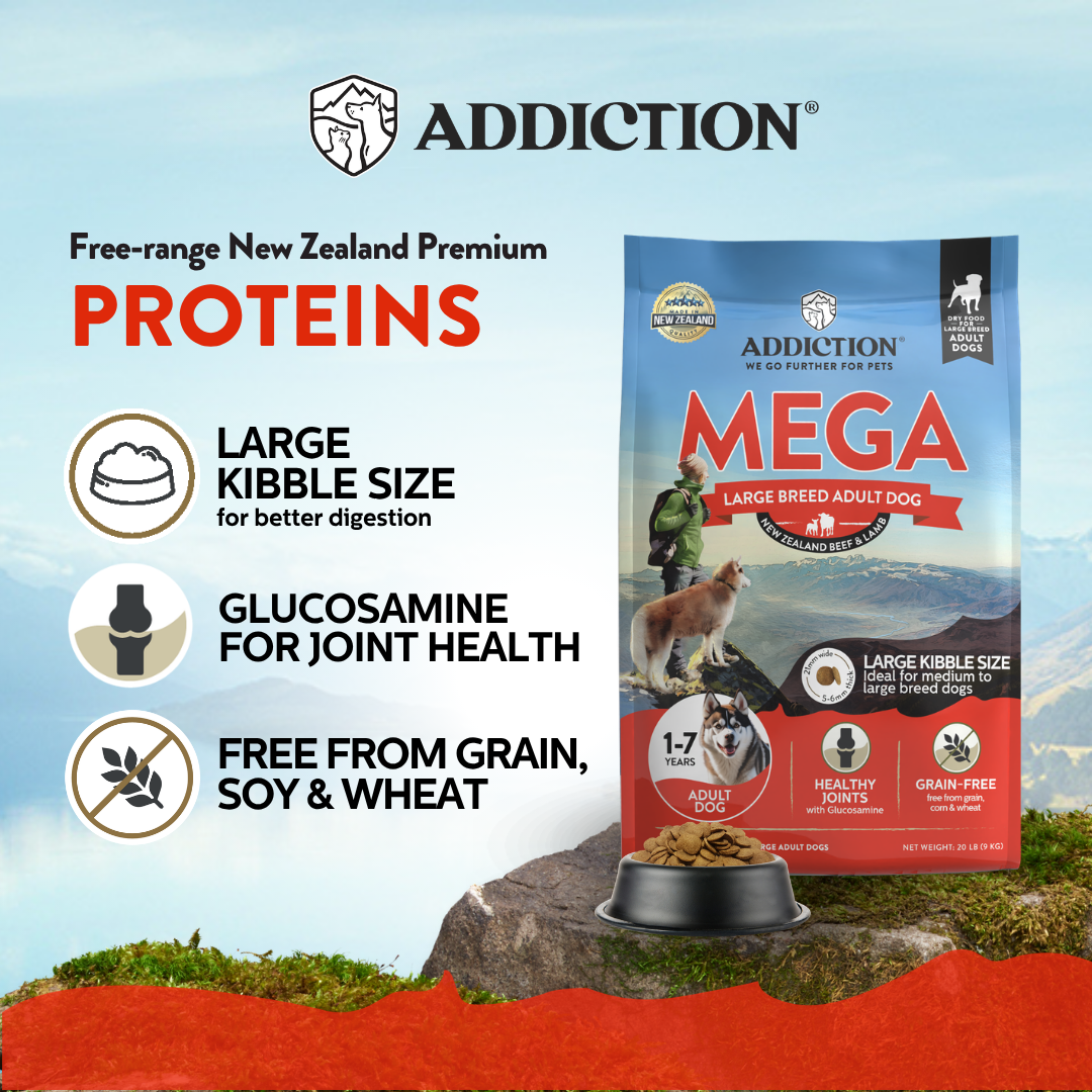 mega new 3