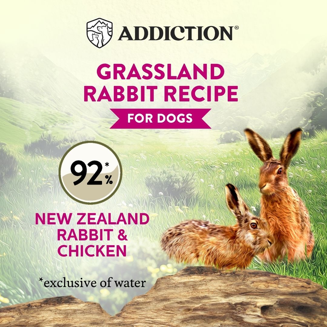 2nd WI Canned Dog Grassland Rabbit Recipe 185g 1