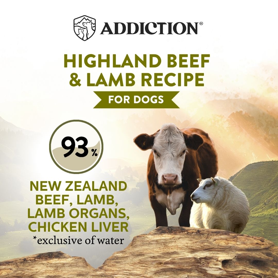 2nd WI Highland Beef Lamb Recipe 185g