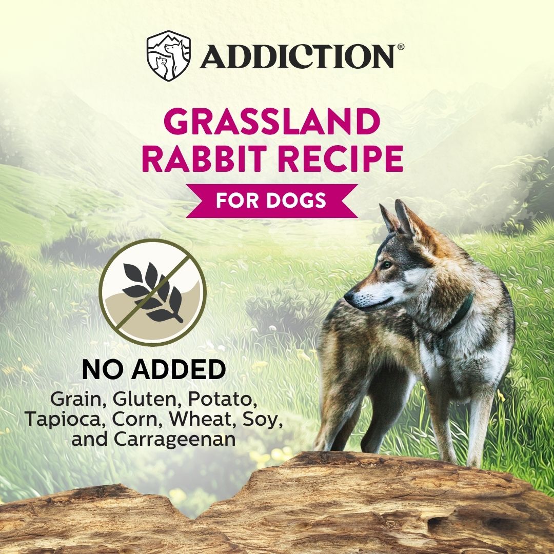 4th WI Canned Dog Grassland Rabbit Recipe 185g 1